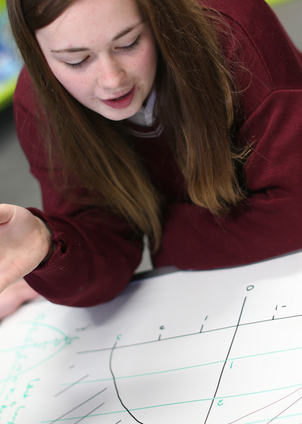 Student looking at a large, hand drawn graph
