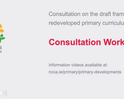 Vision: Consultation workshop