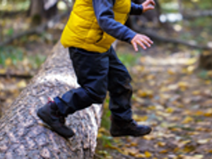 Landscape crop of young child walking in a forest